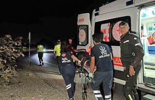 Trafik tabelasına çarpan motosiklet fındık bahçesine...