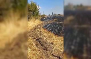 Trafodan çıkan kıvılcım otluk alanı tutuşturdu