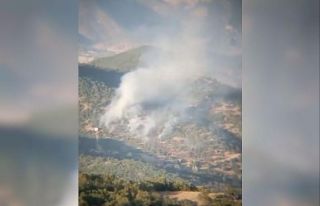 Tunceli’de çıkan orman yangını kontrol altına...