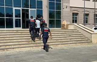 Türkoğlu’ndaki orman yangınında bir kişi gözaltına...