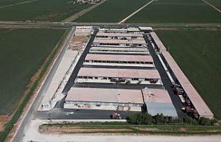 Uğurlu sanayi sitesinin asfaltı tamamlandı