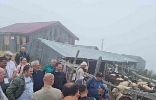 Uluslararası çalıştay dağlık alanlardaki arazi...