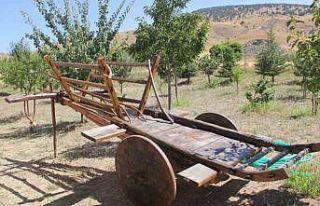 Unutulmaya yüz tutan kağnı arabası dekor oldu