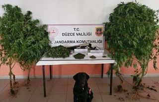 Uyuşturucu imal edilen eve jandarma operasyonu