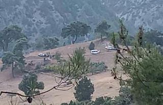 Üzerine tomruk düşen yangın işçisi hayatını...