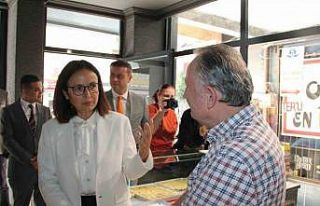 Vali Kaya, okul çevrelerinde kuş uçurtmayacak