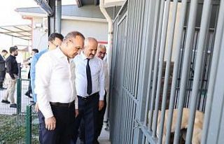 Vali Yavuz Gebze’deki projeleri inceledi