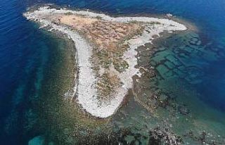 Van Gölü’nde su seviyesi düştü: Adacık gün...