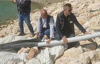 Van’da 1 milyon 800 bin balık göllere bırakıldı