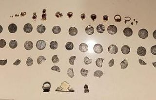 Van’da tarihi eser ve gümrük kaçağı malzemeler...