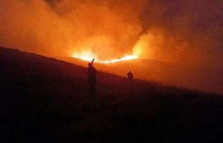 Varto’da anız yangını