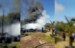 Yalova’da sera yangını