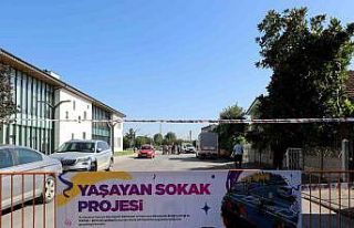 Yaşamın kalbi şehrin sokaklarında atacak