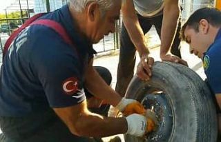 Yavrusu kurtarılana kadar başında bekledi