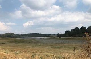 Yayla Gölü’nde su seviyesi yarıya indi