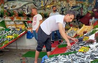 Yeni sezonda hamsi ve istavrit bolluğu görülebilir