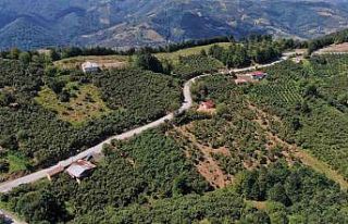 Yol çilesi bitti, yüzler güldü