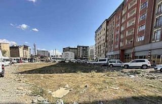 Yüksekova’nın İpekyolu Caddesi çöplerden geçilmiyor