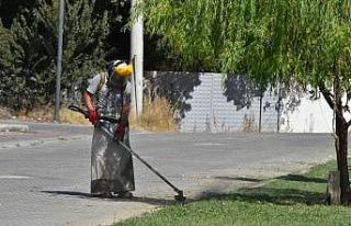 Yunusemre’den yeşil alanlarda bakım çalışması