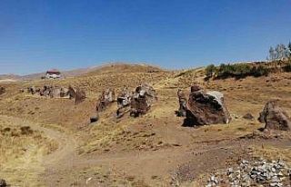 Yüzlerce yıllık ’Nemrut Develeri’ bir bir yok...