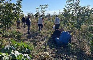 Beyşehir’de çiftçilere tarla faresiyle mücadele...