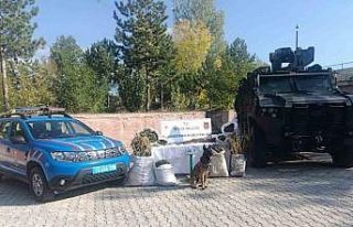 Bitlis’te 28 kilo 560 gram kubar esrar ve 2 kilo...