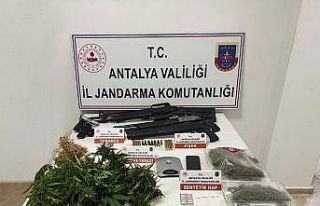 Evinde yetiştirdiği uyuşturucuları piyasaya süremeden...