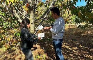 Hüyük’te zararlı sinek tuzakları kontrol edildi