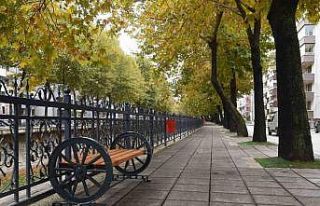 Karaçomak Deresi kenarına banklar yerleştirildi