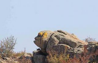 O kaya görenleri şaşırtıyor