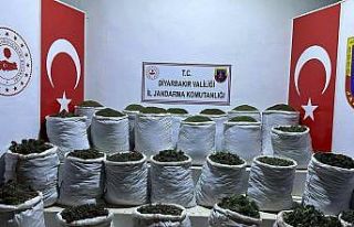 Terörün finans kaynağına darbe: 783 kilo esrar...
