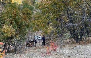 Tunceli’de trafik kazası: 2 yaralı