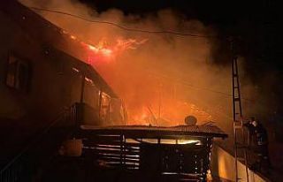 Ahırda başlayan yangın evlere sıçradı, 2 büyükbaş...