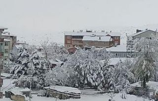 Aşkale’ye mevsimin ilk karı yağdı