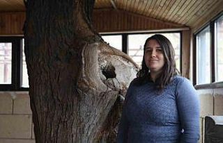 Bir asır sonra fark edildi, yaşı uzmanları bile...