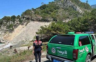 Bu bitkiyi koparmanın cezası 245 bin TL