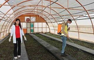 Büyükşehirden her mevsim için çiçek