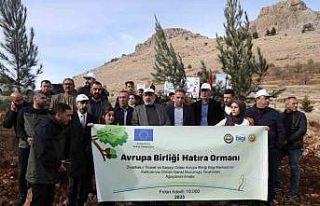 DTSO AB Bilgi Merkezi Ergani’de 10 bin ağaç dikti