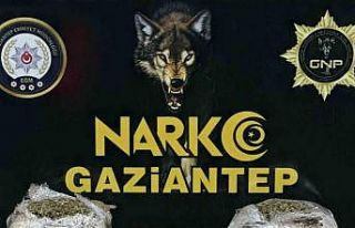 Gaziantep’te 1.5 kilogram skunk ele geçirildi