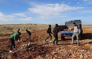 Mega kent İstanbul’u bırakan çiftçi, Mardin’de...