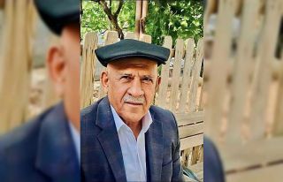 Silopi’de budamak için çıktığı ağaçtan düşen...