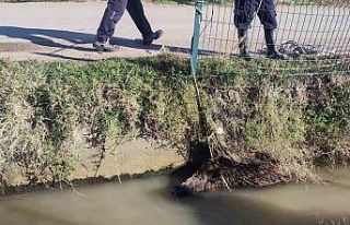 Sulama kanalına düşen yaban domuzu mahalleliyi...