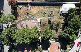 Yalova’da çocuklara doğa sevgisini aşılıyorlar