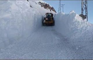 Yüksekova’da 4 metreyi bulan kar tünelleri
