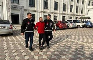 Akrabasını göğsünden bıçaklayarak öldüren...