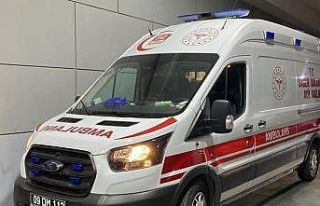 Balık işleme tesisinde işçilerin zehirlendiği...