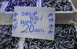 Balıkçı tezgahlarında hamsi bolluğu: Fiyatı...