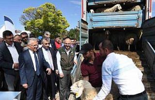 Başkan Büyükkılıç: "9 bin 850 hayvan işletmesinin...