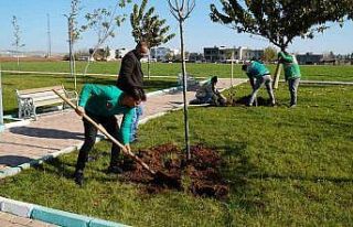 Başkan Canpolat ile Haliliye Belediyesi üretime...