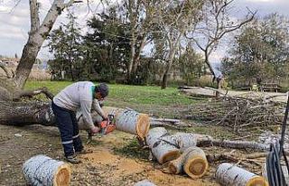 Burhaniye Belediyesi hem evleri hem de gönülleri...